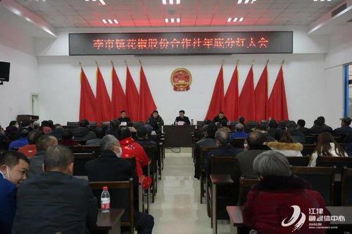 裕安区腾仓镇新闻头条,聚焦乡村振兴新篇章