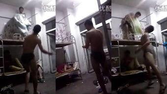 调教女视频在线观看,调教女视频在线观看现象解析