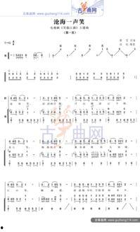 抖音网红古筝琵琶行,传统音乐与现代潮流的完美融合