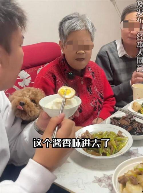 网红蹭饭,社交圈中的美食狂欢与争议