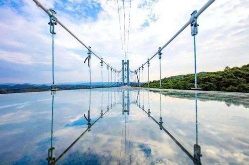 网红玻璃桥株洲市,株洲网红玻璃桥的惊险魅力之旅