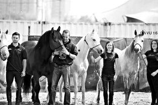 马明星安师大,探寻新时代教育创新的璀璨星辉