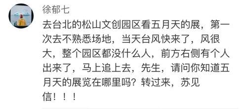 明星情感定义是什么,揭秘娱乐圈中的爱恨情仇