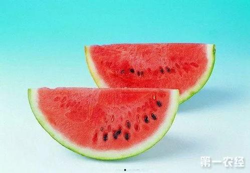 年华吃瓜,那些年我们一起吃过的瓜