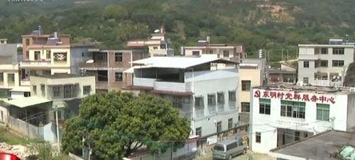 潮州饶平樟溪新闻头条,聚焦最新发展动态，共话乡村振兴新篇章