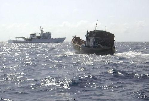 如何搜吃瓜船,网络热词背后的趣味与真相