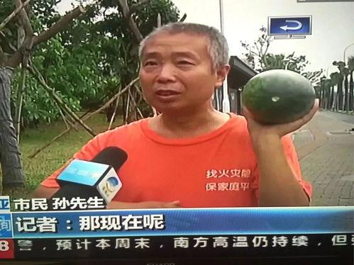 最新事件热点吃瓜,真相与舆论的碰撞