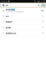 xzc缩写的明星,闪耀舞台，魅力无限