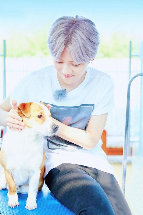 约吧大明星第4期,星光熠熠，精彩纷呈