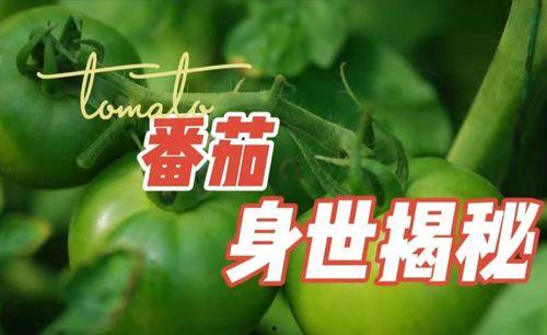 吃瓜小可爱知乎免费阅读,揭秘吃瓜小可爱在知乎的免费阅读之旅