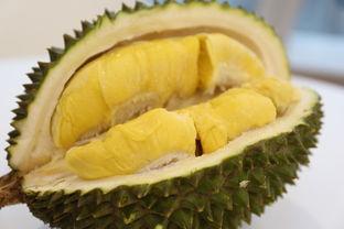 微头条采摘榴莲